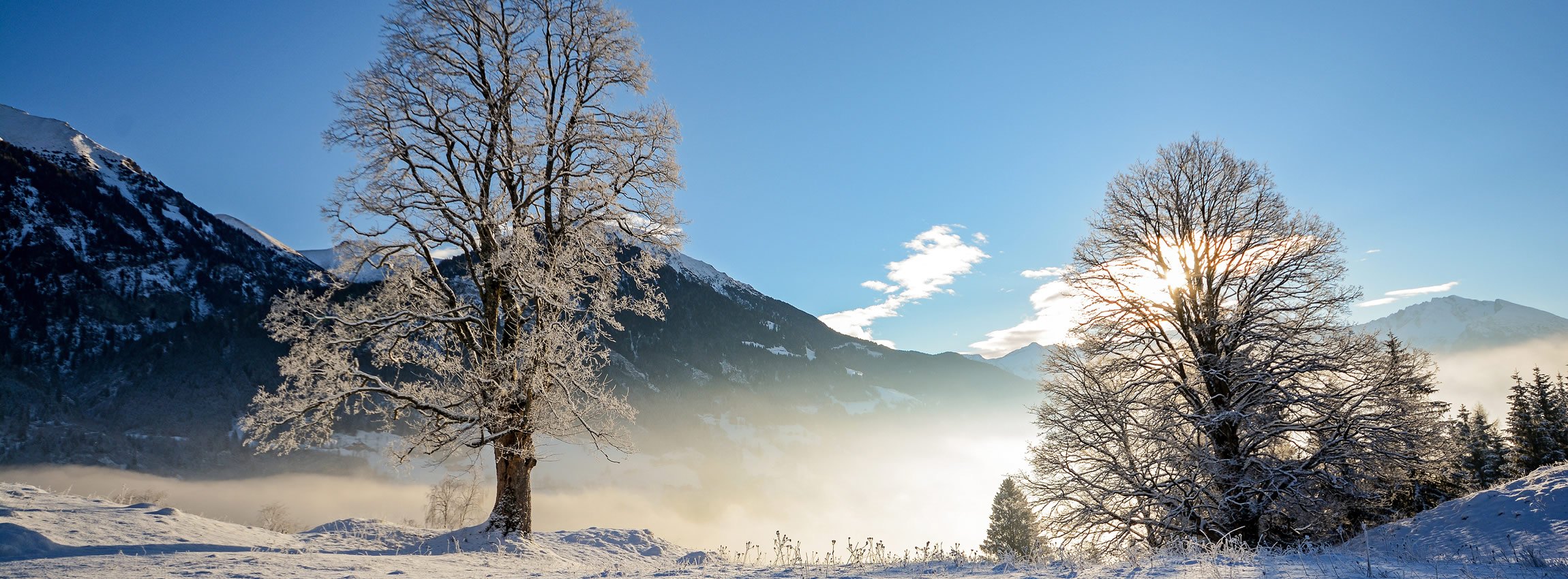 Winterlandschaft im Salzburger Land